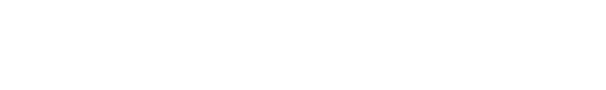 TheSmartTimes logo